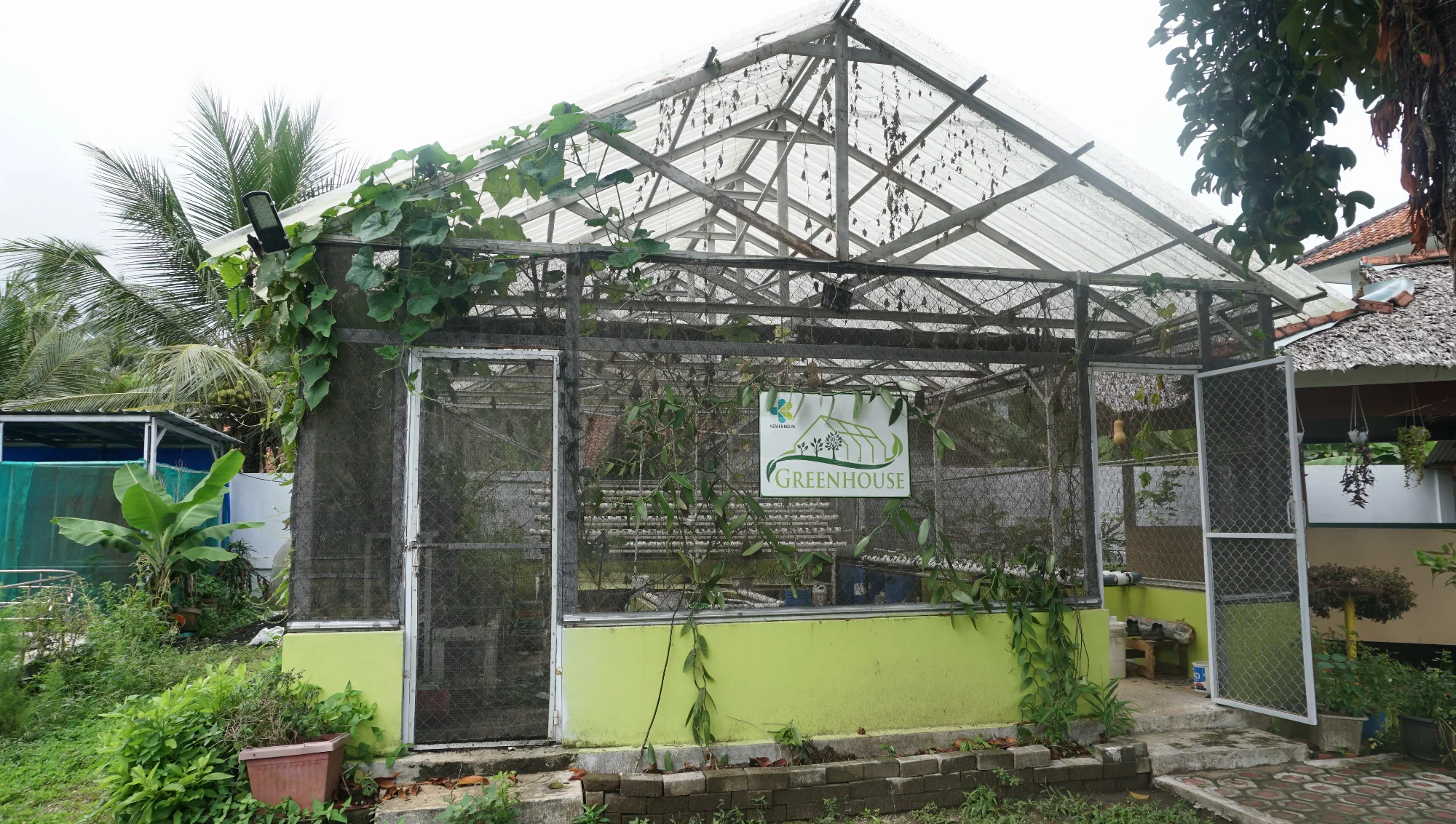 TOMPEN (Taman Obat Pengusir Nyamuk)