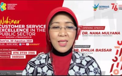 Webinar Customer Sevice Excellence in the Public Sector
