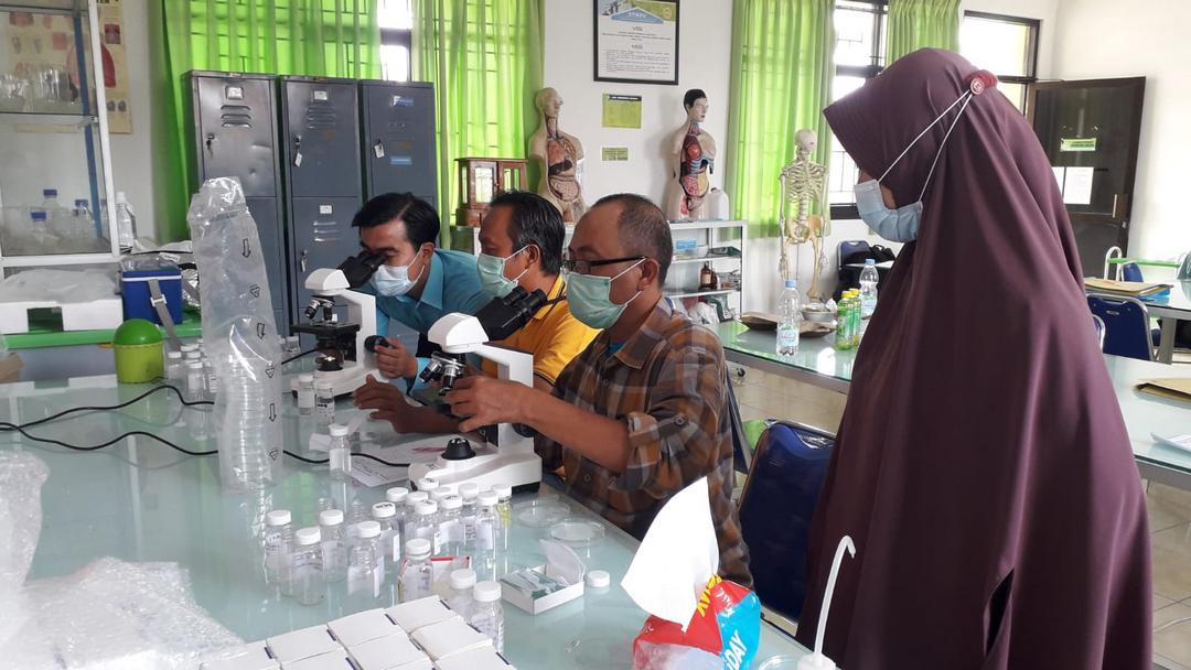 Identifikasi Larva Nyamuk di Laboratorium Stikes Kuningan