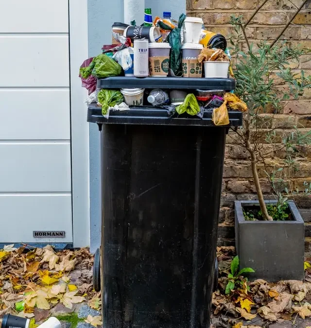 Elemen Fungsional Sistem Pengelolaan Sampah