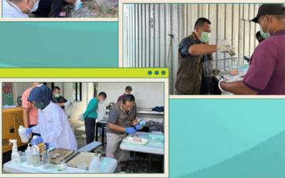 Surveilans Penyakit Leptospirosis Berbasis Laboratorium di Kalipucang Pangandaran