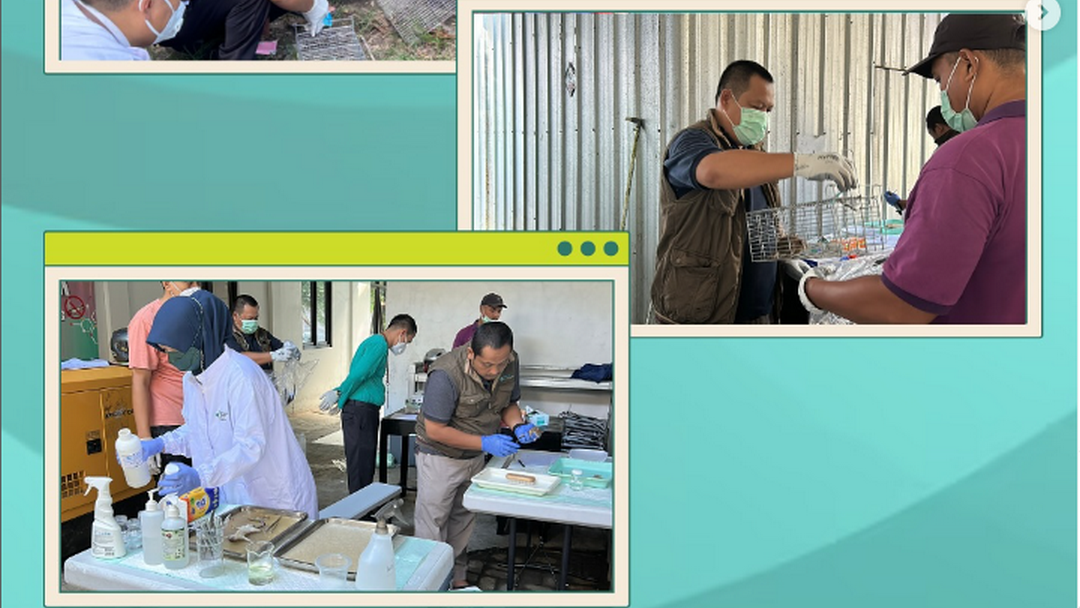 Surveilans Penyakit Leptospirosis Berbasis Laboratorium di Kalipucang Pangandaran