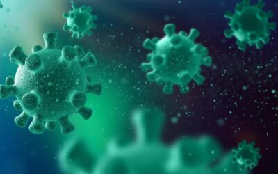 Kemenkes Minta Perhatikan Kesehatan Lingkungan Setelah 5 Anak Meninggal Akibat Flu Babi