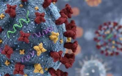 Kemenkes Pastikan Influenza A(H3N2) Subclade K Tidak Lebih Parah, Situasi Nasional Terkendali