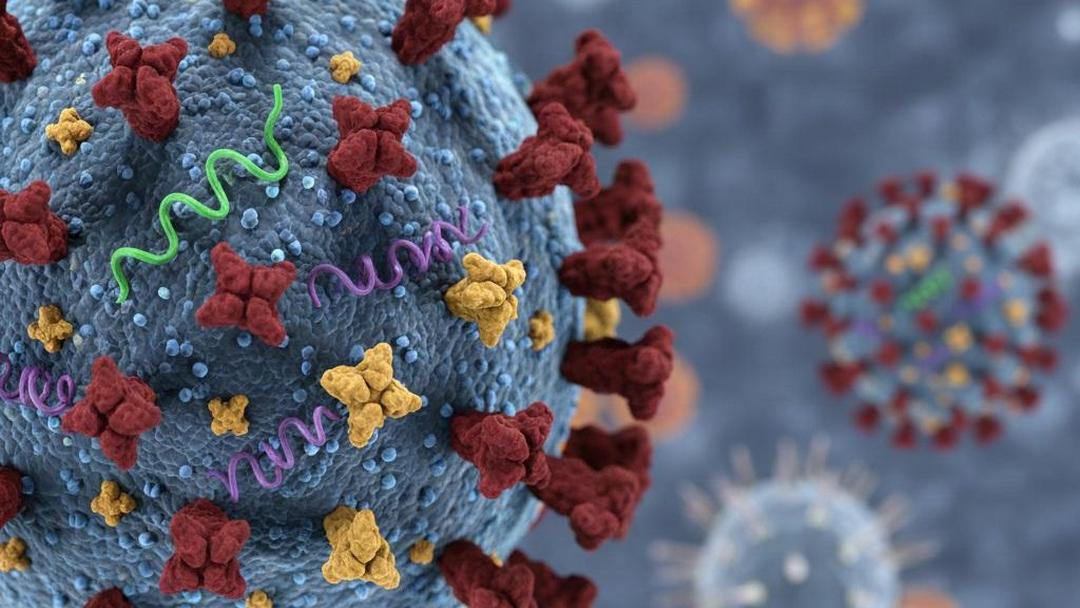 Kemenkes Pastikan Influenza A(H3N2) Subclade K Tidak Lebih Parah, Situasi Nasional Terkendali