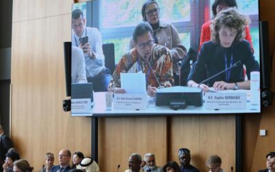 Indonesia Dorong Kedaulatan Kesehatan Global lewat Produksi Lokal di Forum WHA79