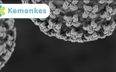 Menkes: Kasus Hantavirus di DKI Jakarta Terkendali, Kontak Erat Dipantau 14 Hari