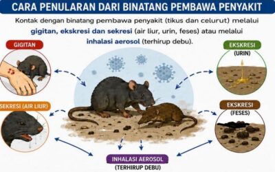 Antisipasi Peningkatan Kasus, Kemenkes Perkuat Kewaspadaan Virus Hanta